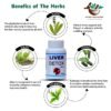 Liver Detoxify Capsules